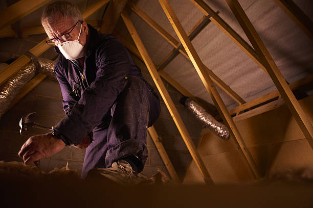 Best Insulation Installation Services in Cherryvale, KS